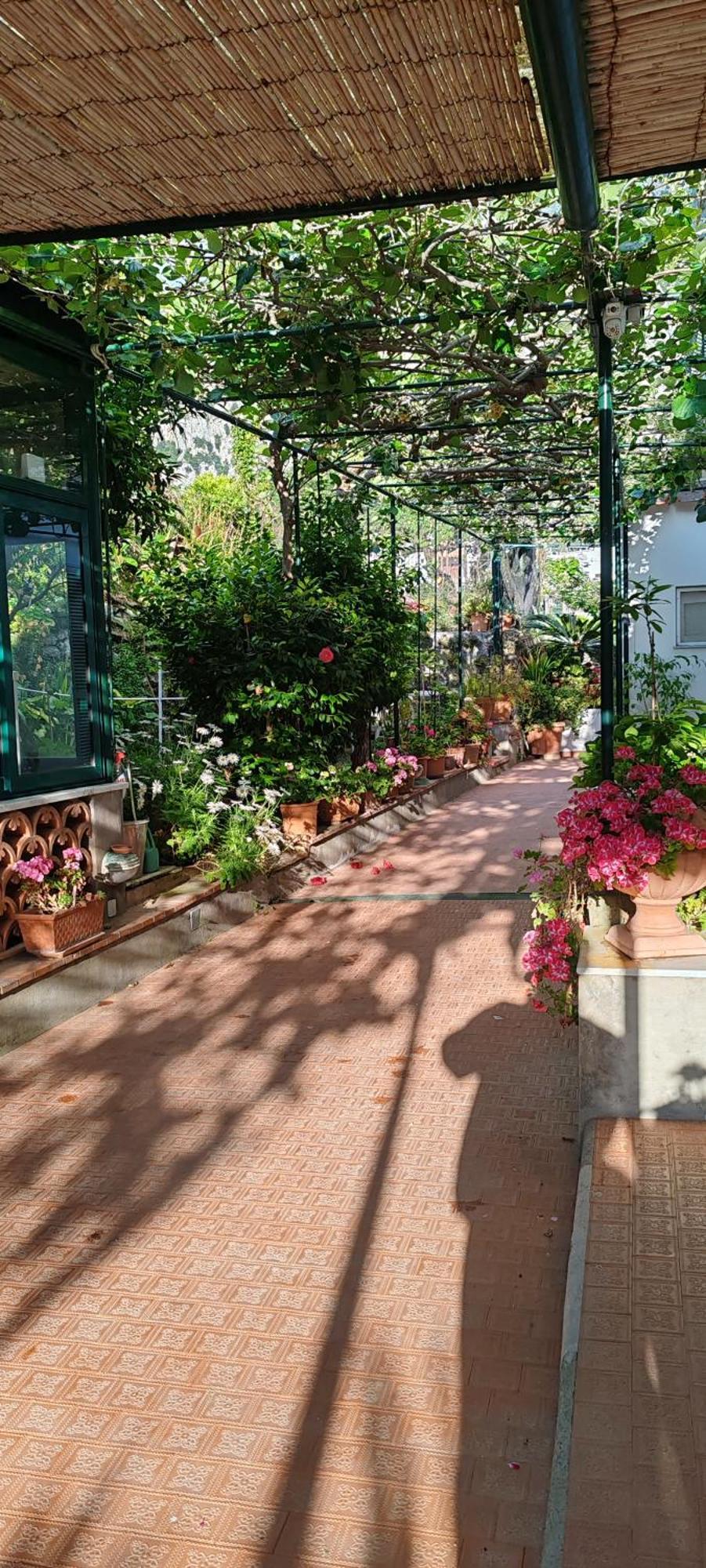 Villa Dei Fiori B&B 카프리 외부 사진