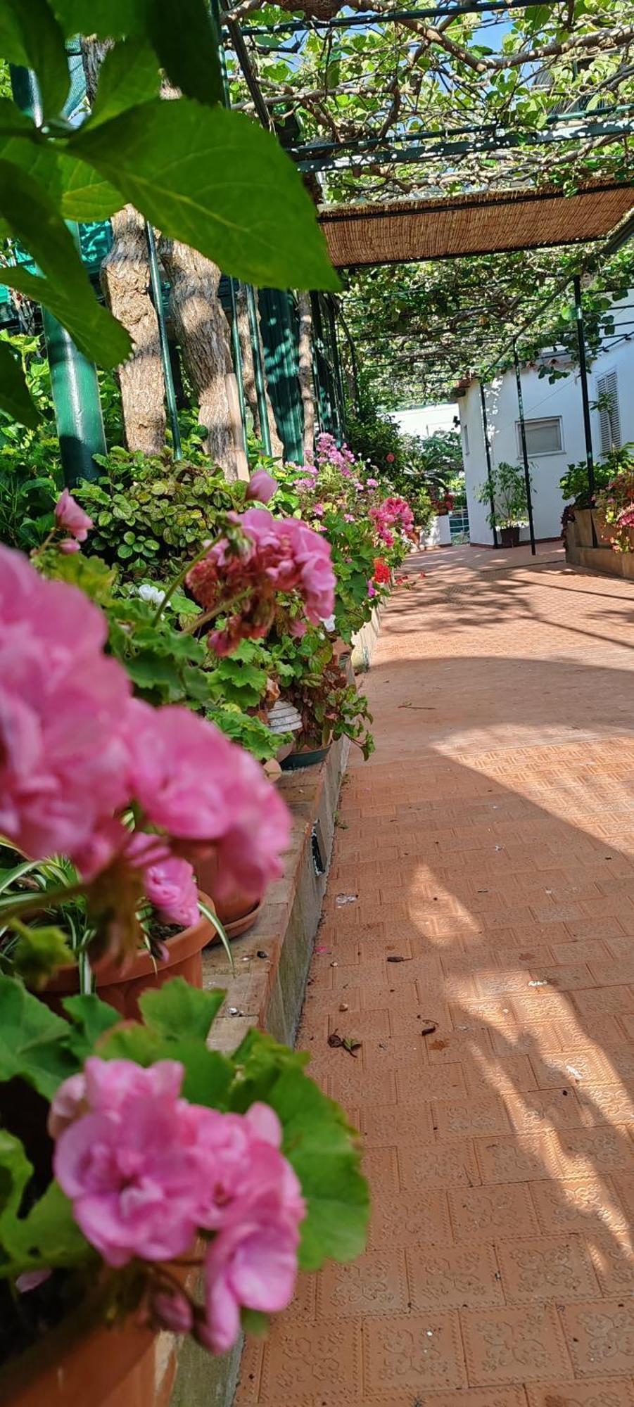 Villa Dei Fiori B&B 카프리 외부 사진